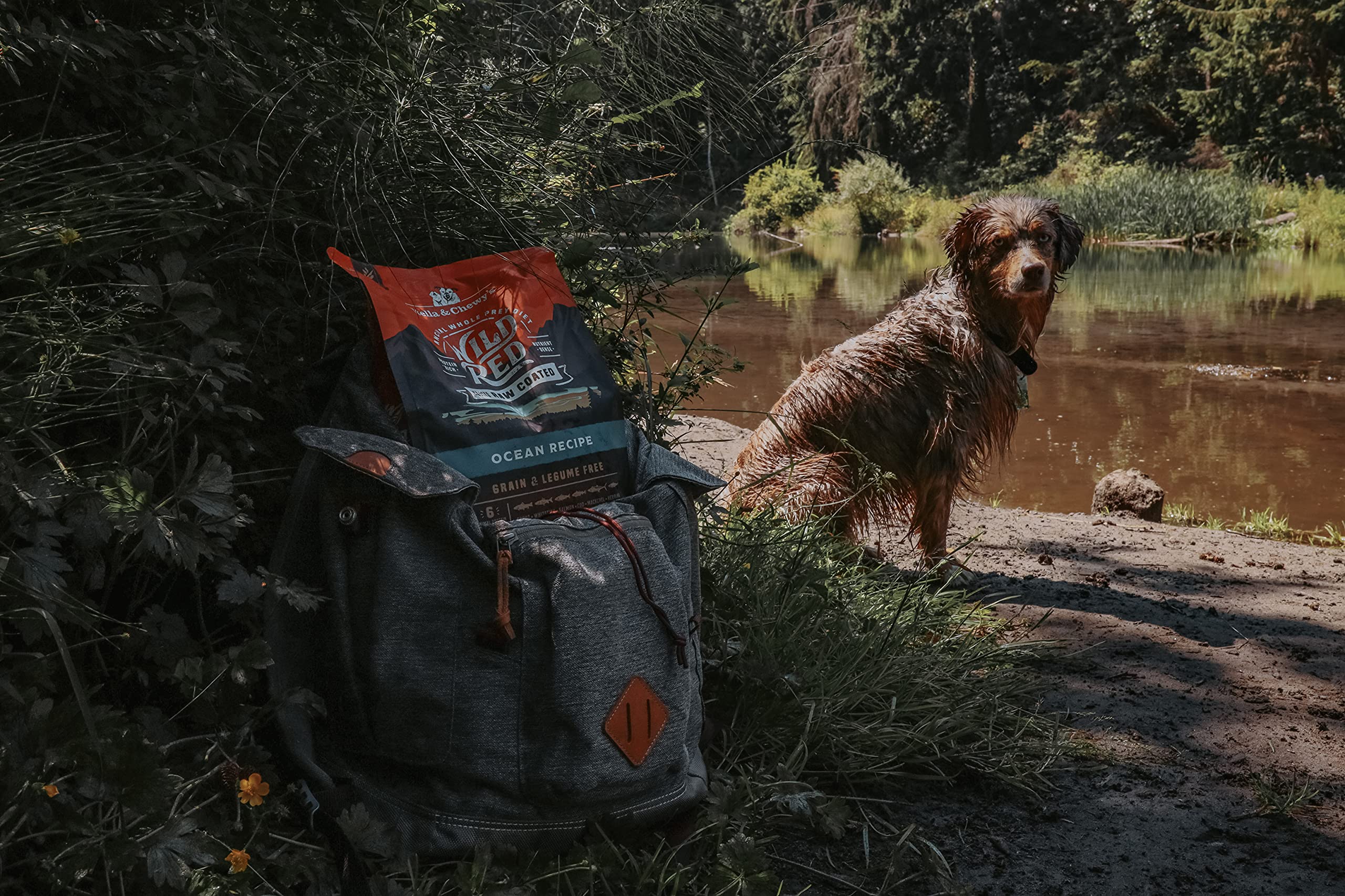 Stella & Chewy's Wild Red, elaborado en Estados Unidos con ingredientes responsables.
