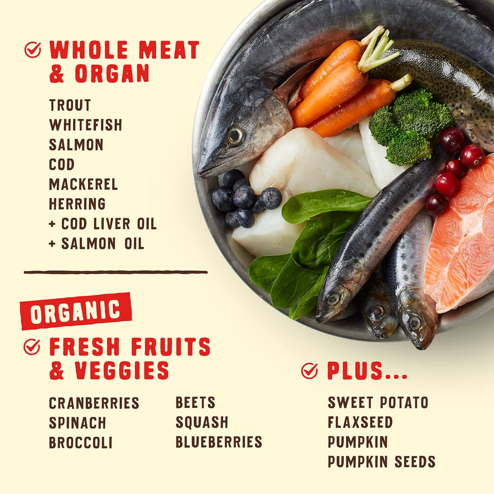 Croquetas en tazón: croquetas crujientes de Stella & Chewy's Wild Red para perros activos.