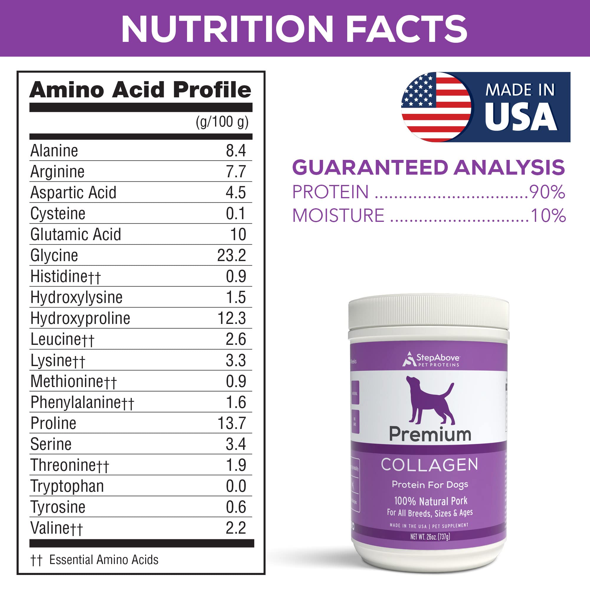 Step Above Proteins perro disfruta comida saludable y constante.