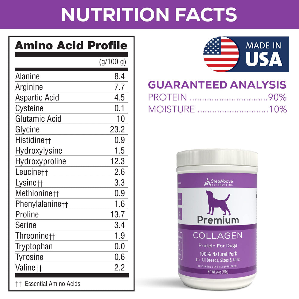 Step Above Proteins perro disfruta comida saludable y constante.