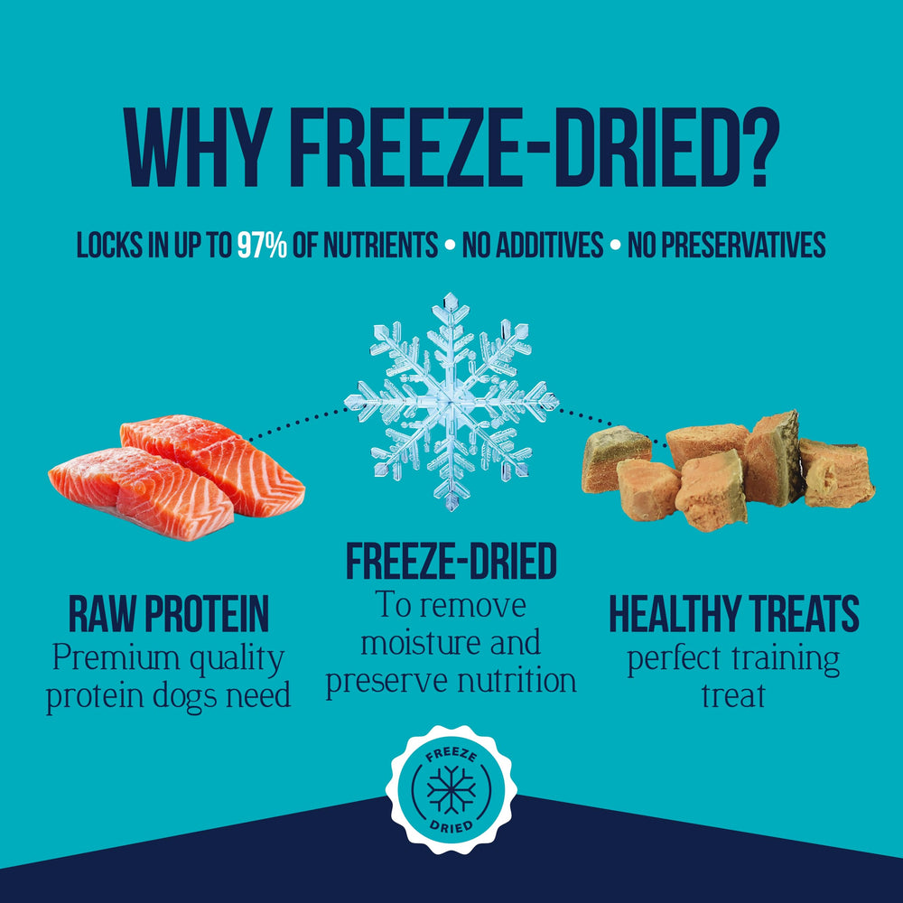 Stewart Salmón: complemento-alimento para enriquecer las comidas del perro.