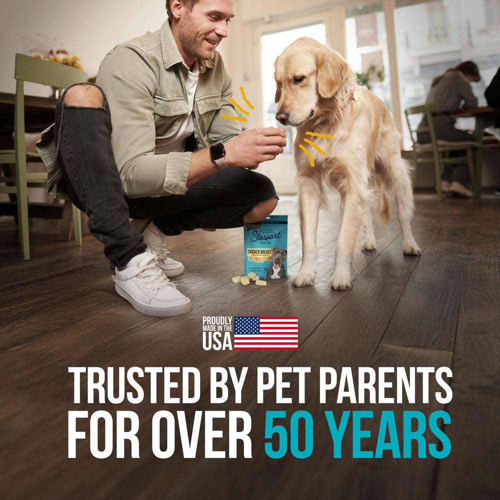 Stewart compatible con perros de todos los tamaños