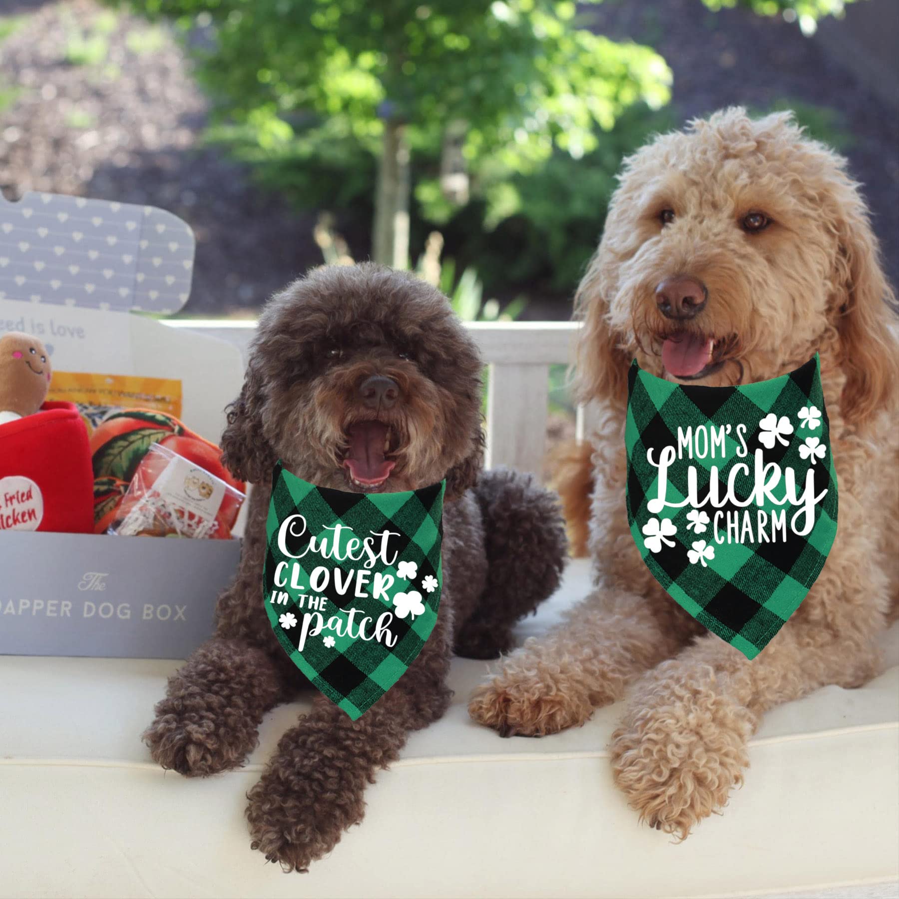 Conjunto de dos pañuelos STMK, looks versátiles para perros