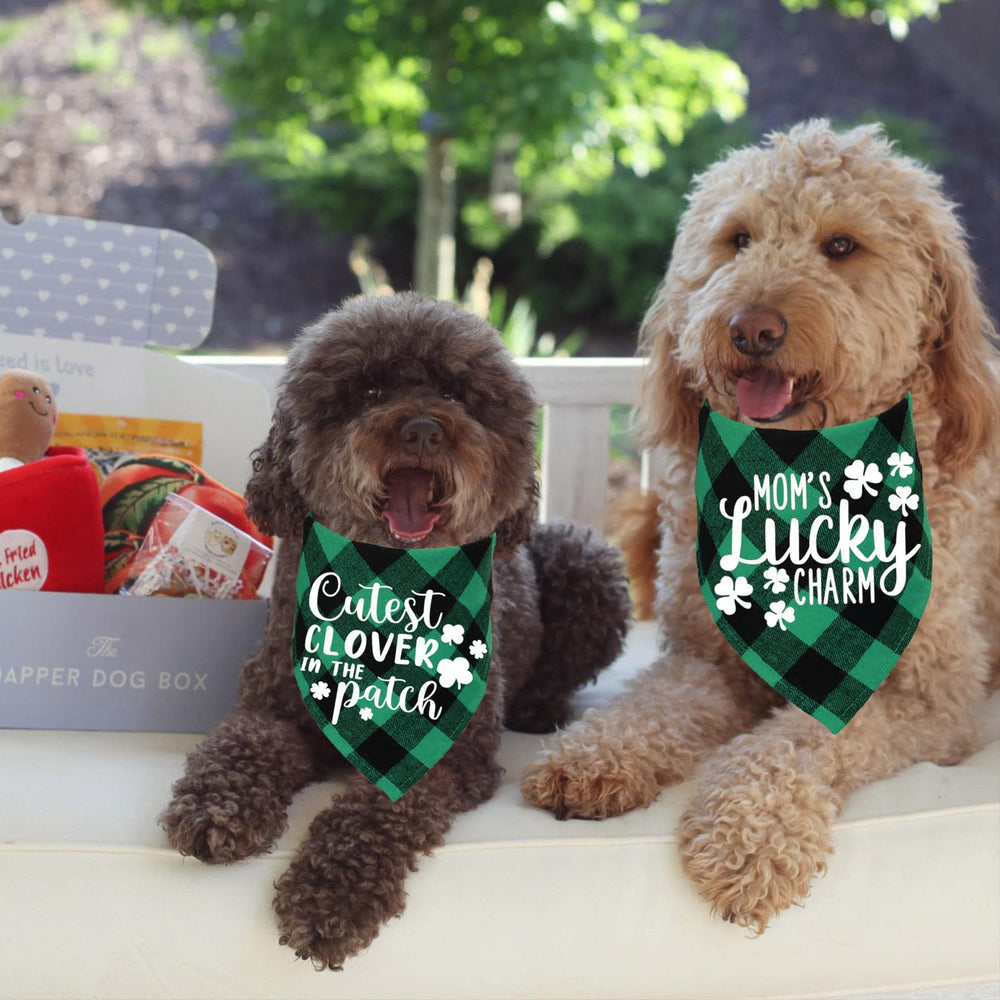 Conjunto de dos pañuelos STMK, looks versátiles para perros