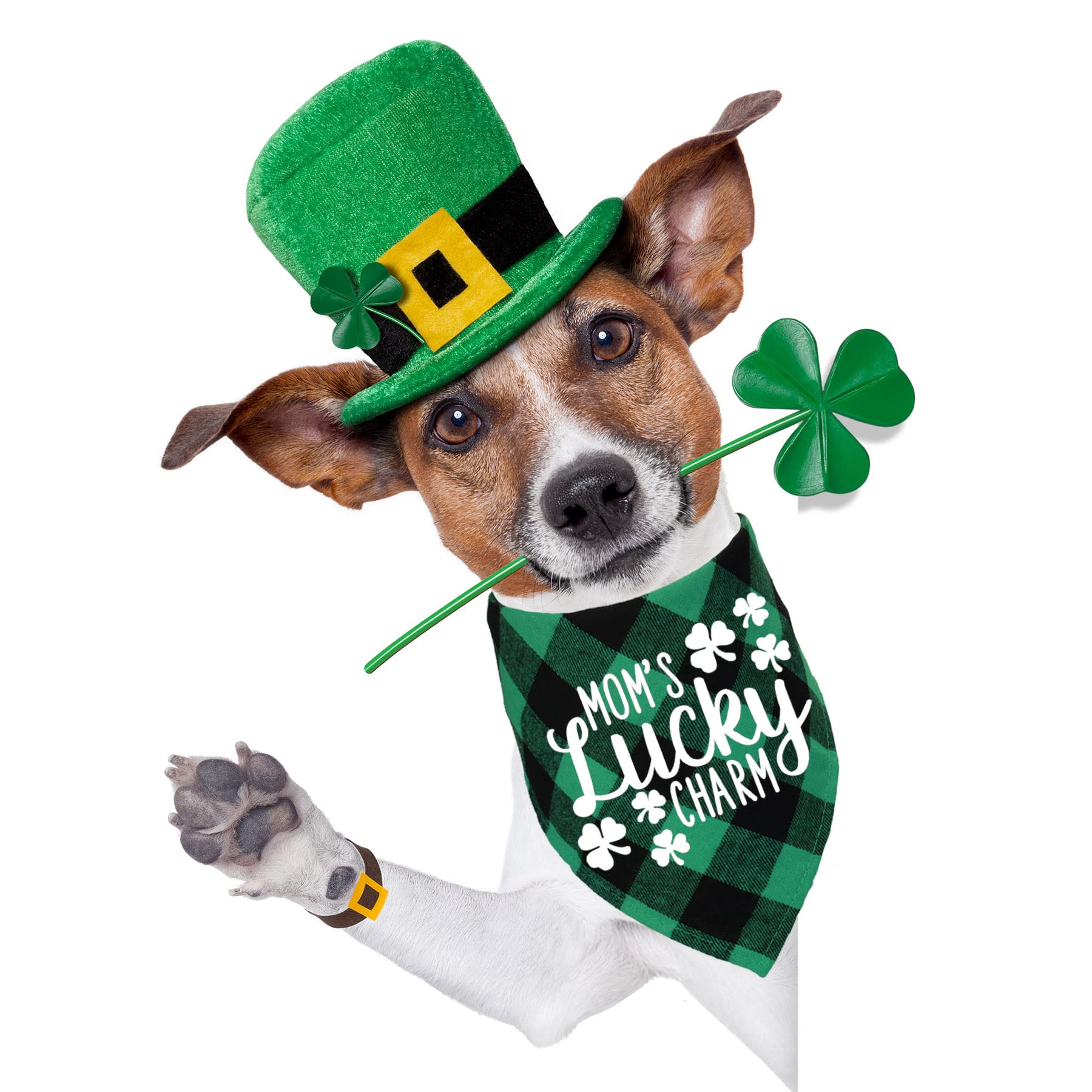 Pañuelo STMK para perro con cuadros verde, perfecto para salidas
