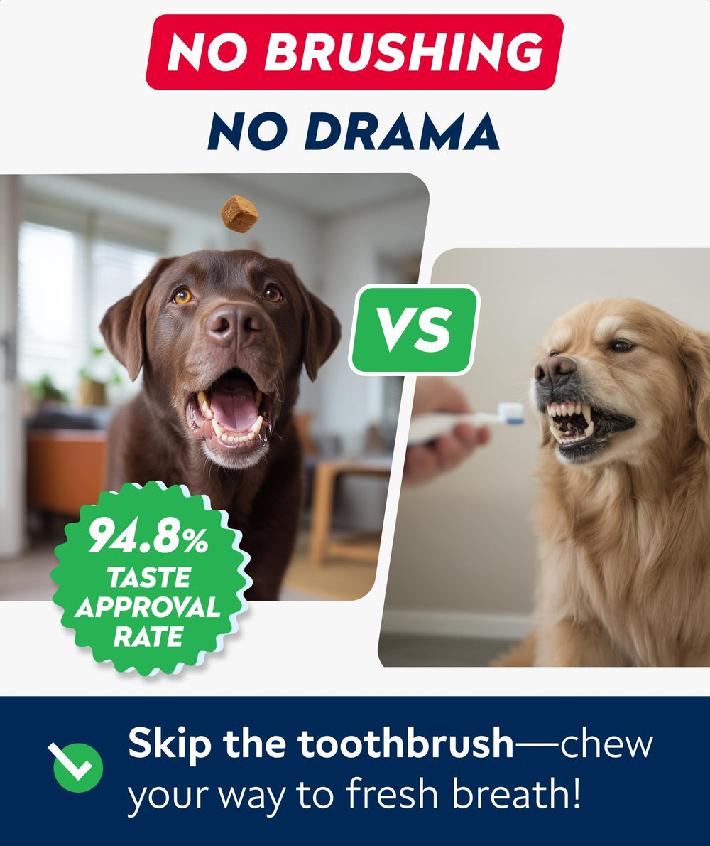 STRELLALAB fórmula multi-beneficios para perros de todas las razas.