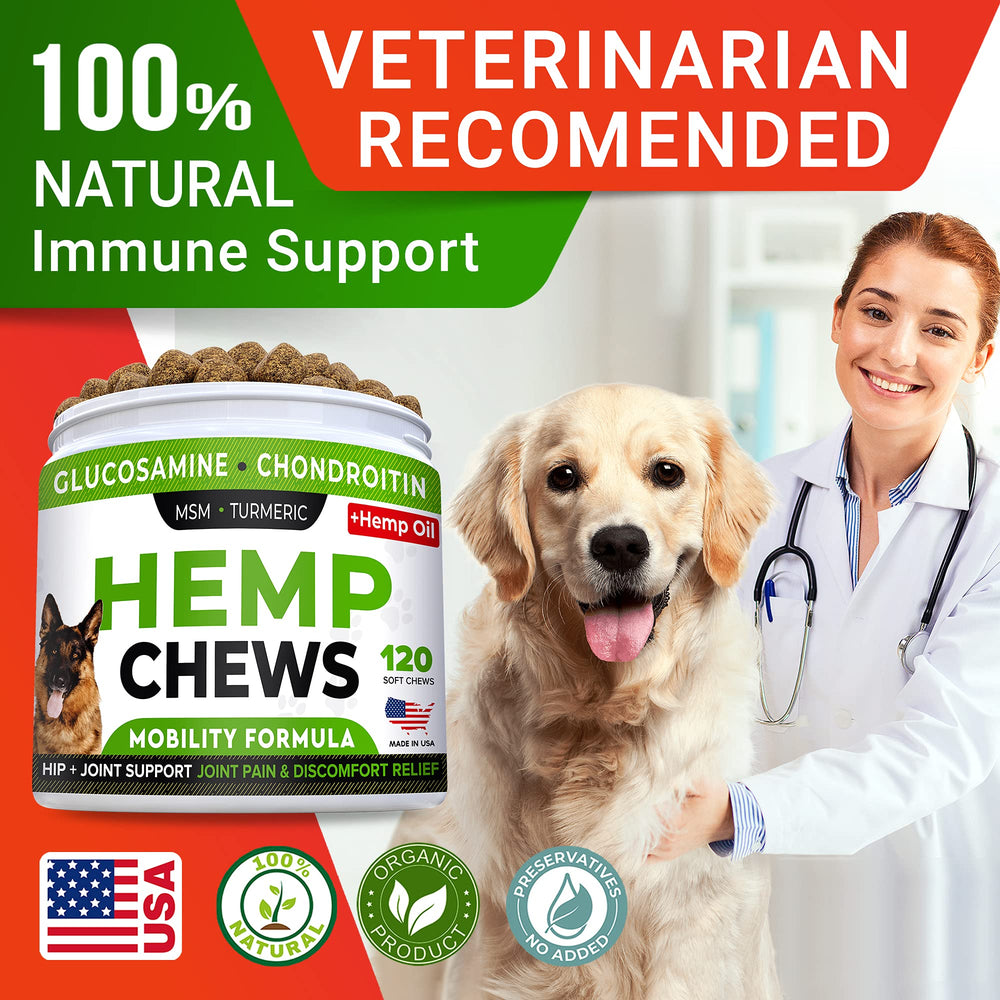 STRELLALAB Glucosamina para perros, paquete: 120 bocadillos listos para uso diario.