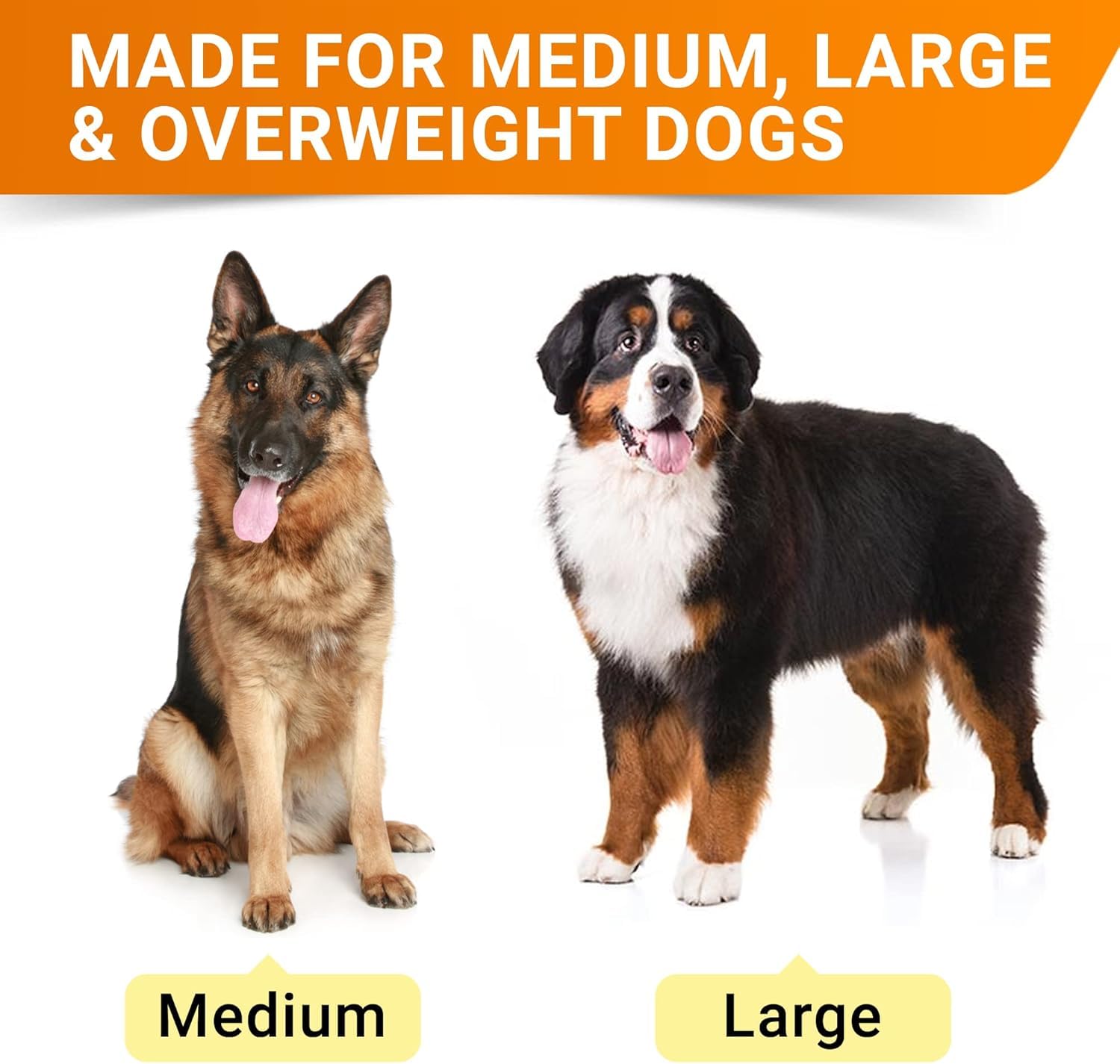 STRELLALAB masticables premium para articulación canina, sabor bacon delicioso para uso diario.