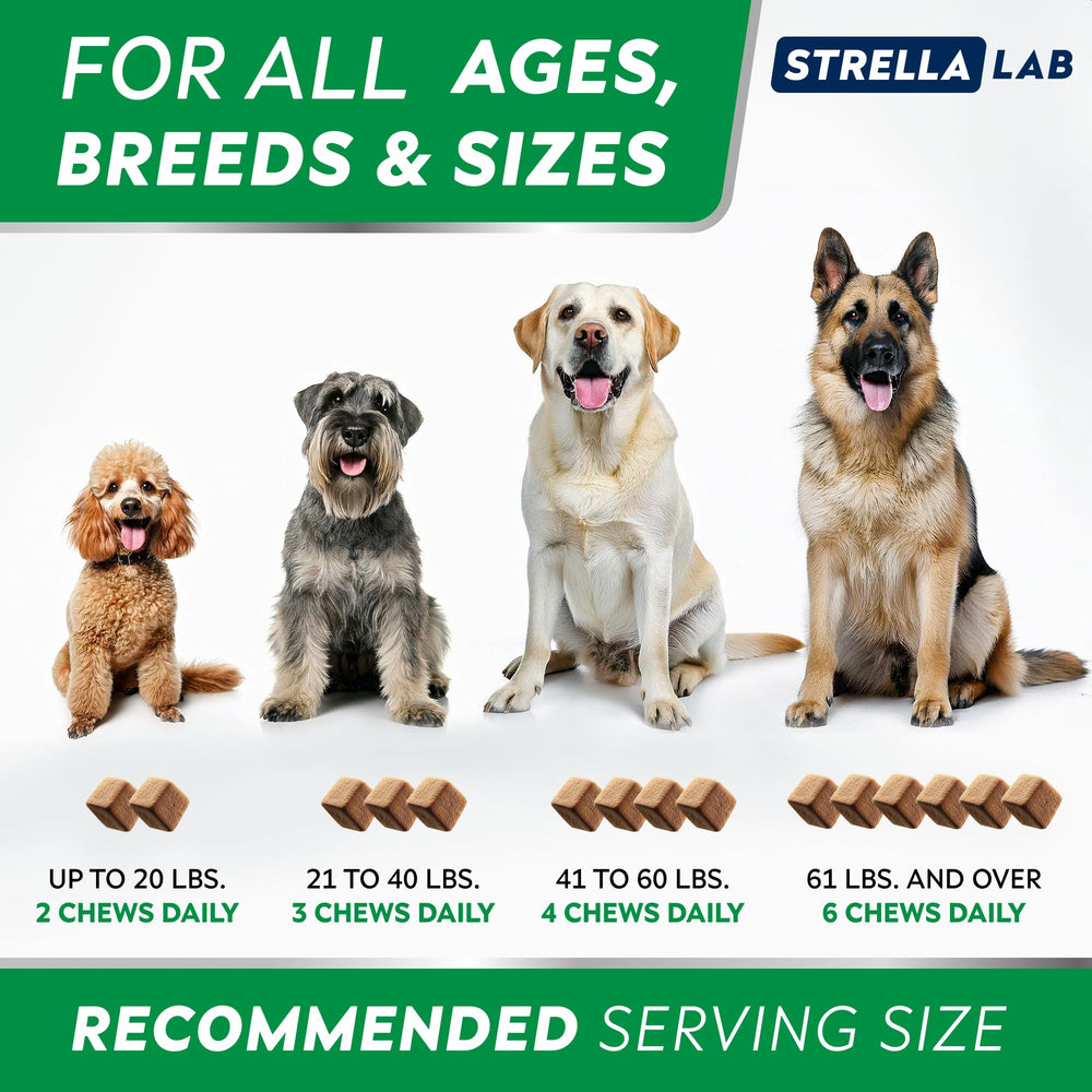 STRELLALAB suscripción y ahorro: entrega continua para el bienestar de tu perro.