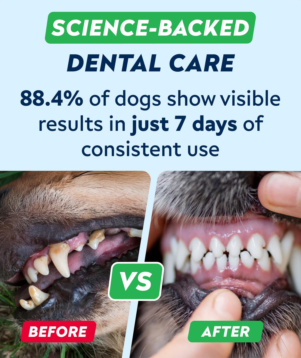STRELLALAB probióticos para boca e intestino de perros, apoyo digestivo y bucal.