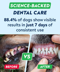 STRELLALAB probióticos para boca e intestino de perros, apoyo digestivo y bucal.