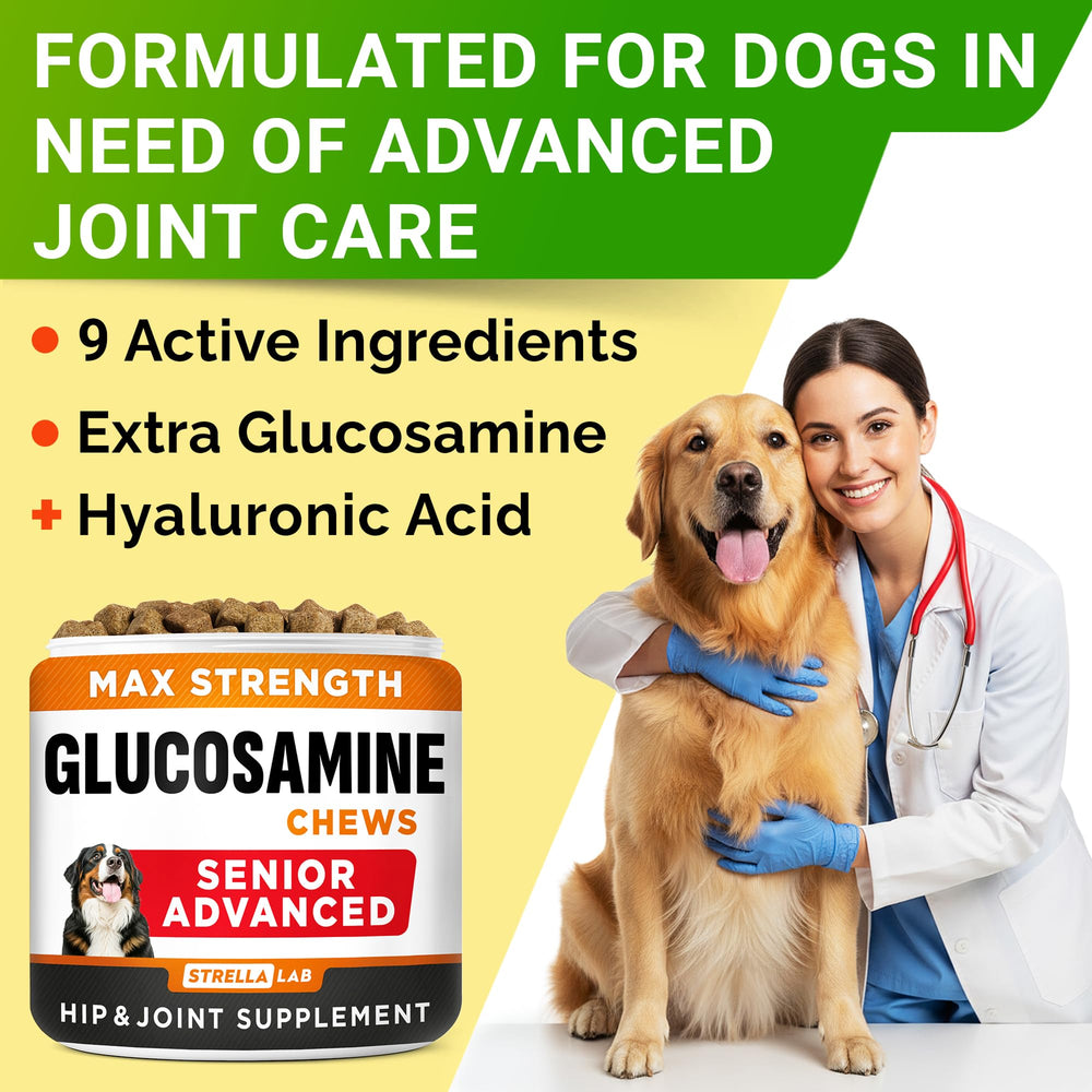 STRELLALAB Senior glucosamina pack valor 240, ahorro para cuidado continuo.