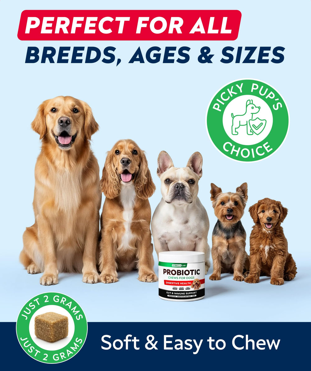 STRELLAB uso diario recomendado para la salud digestiva del perro