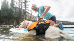 Stunt Puppy Float: diseño ergonómico y resistente para juegos al aire libre