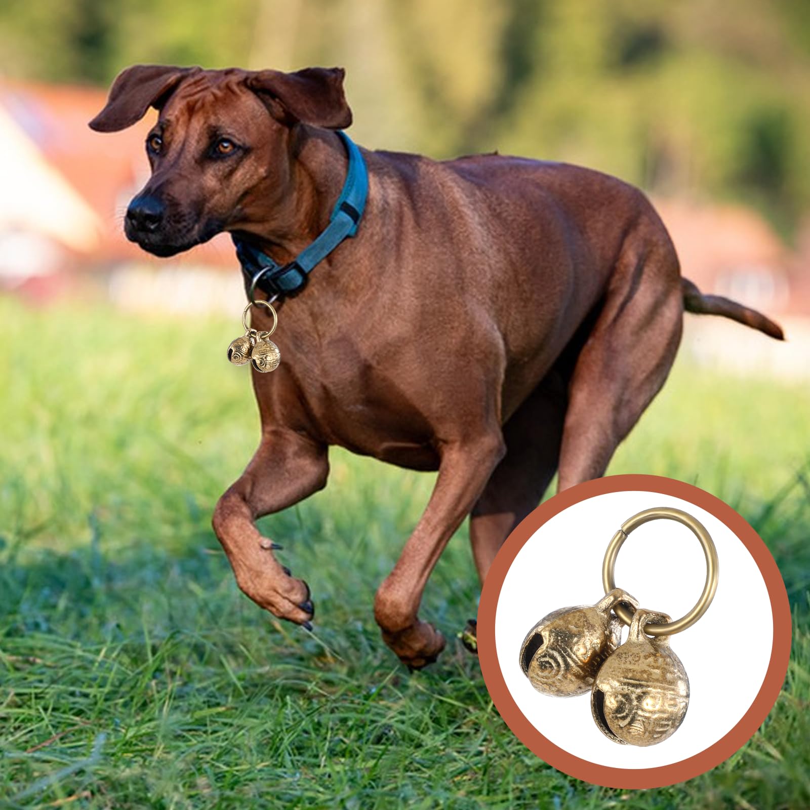 Regalo práctico para amantes de mascotas: campana Styquenzer para collar.