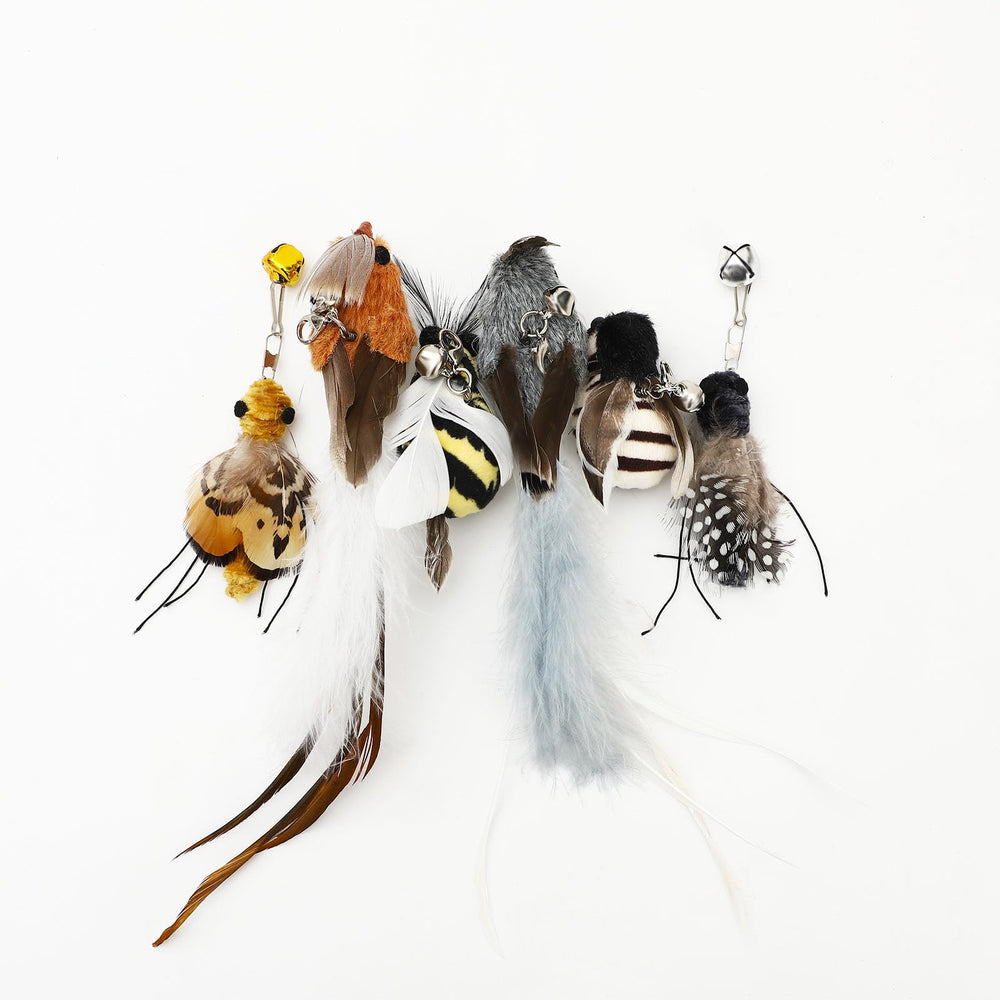 SUBANG: plumas de aves e insectos para entretenimiento diario del gato