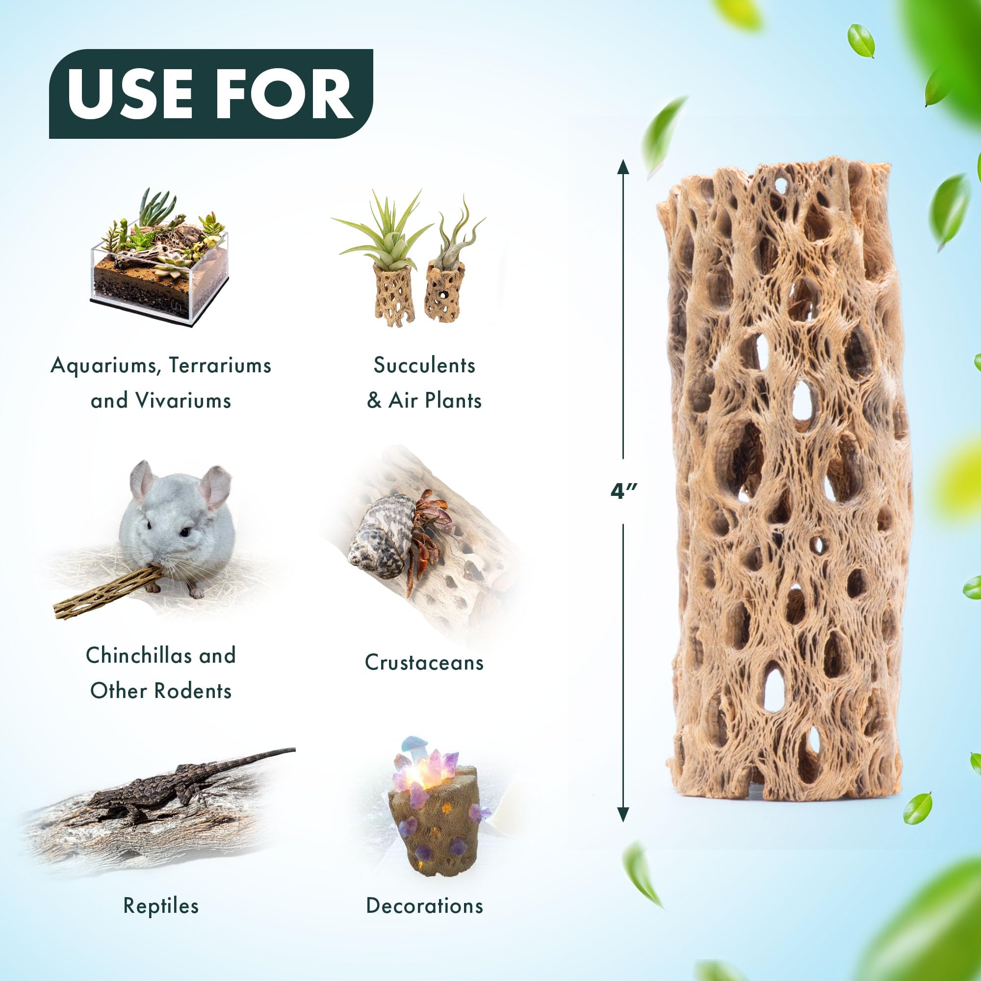 SubstrateSource cholla, base con plantas vivas adheridas