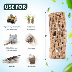 SubstrateSource cholla, base con plantas vivas adheridas