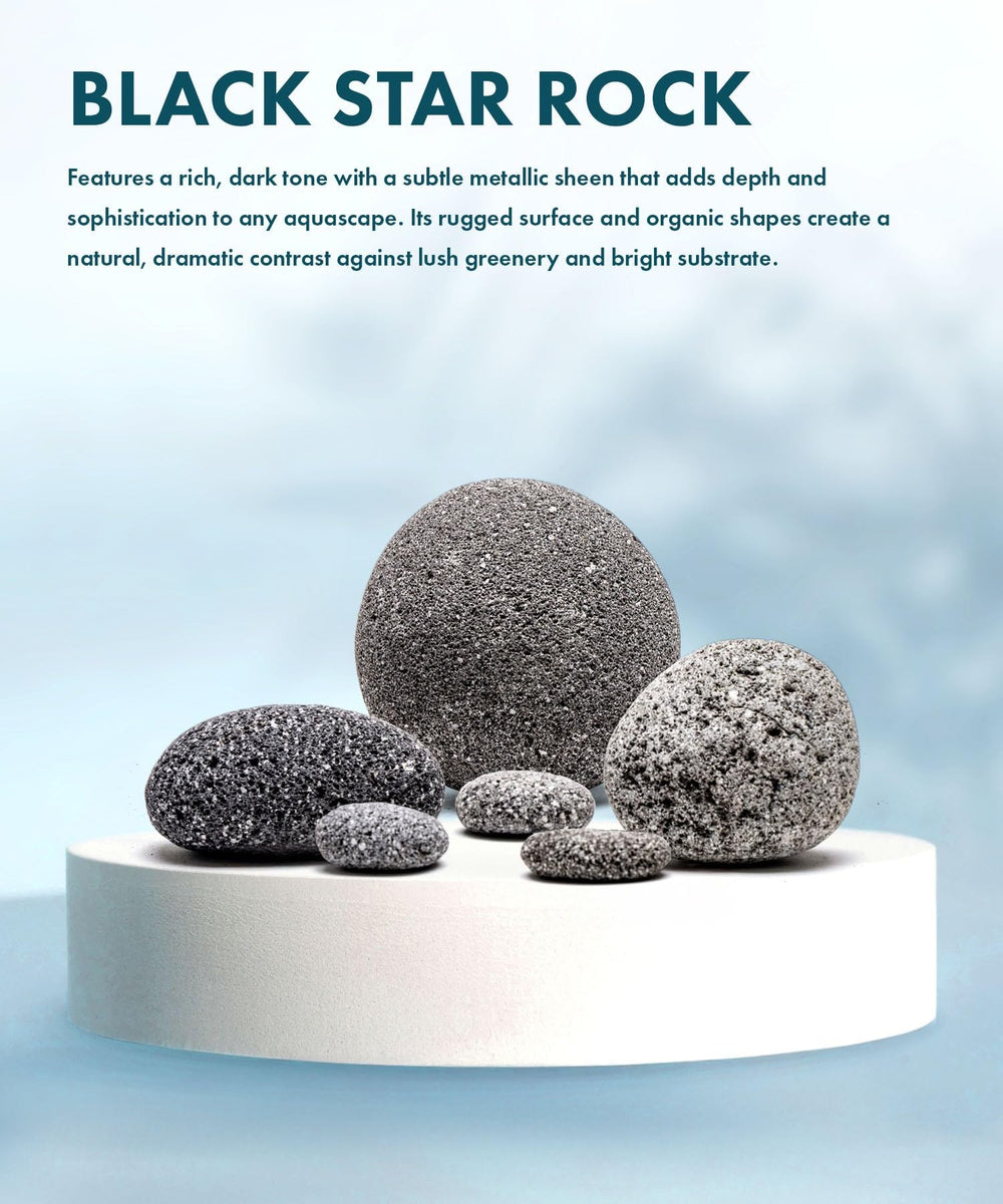 SubstrateSource Piedras acuario porosas, ideal para cimientos y composiciones en acuarios.