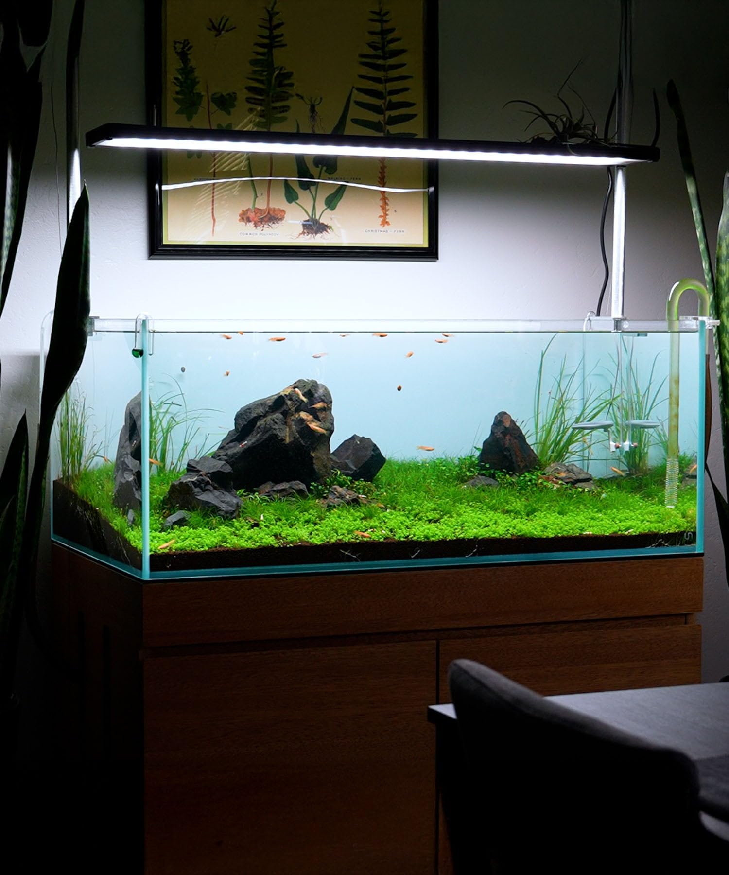 Piedras SubstrateSource uso versátil en acuario, terrario y recintos.