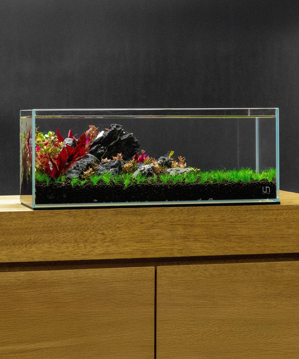 SubstrateSource Piedras Seiryu Blue Mountain, disponible en 5–30 lb para proyectos grandes.