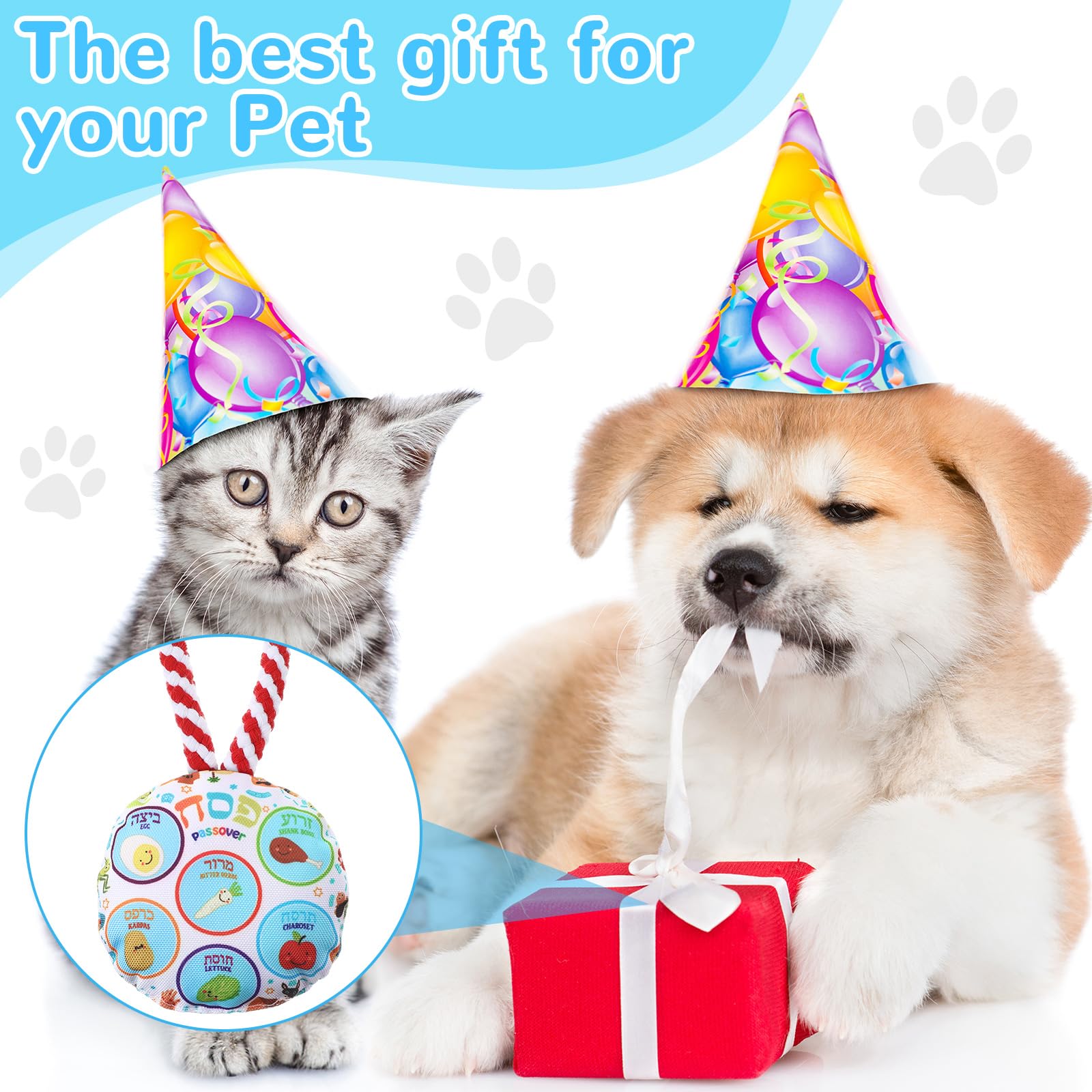 Suilung regalo temático de Pésaj para dueños y mascotas, regalo divertido.