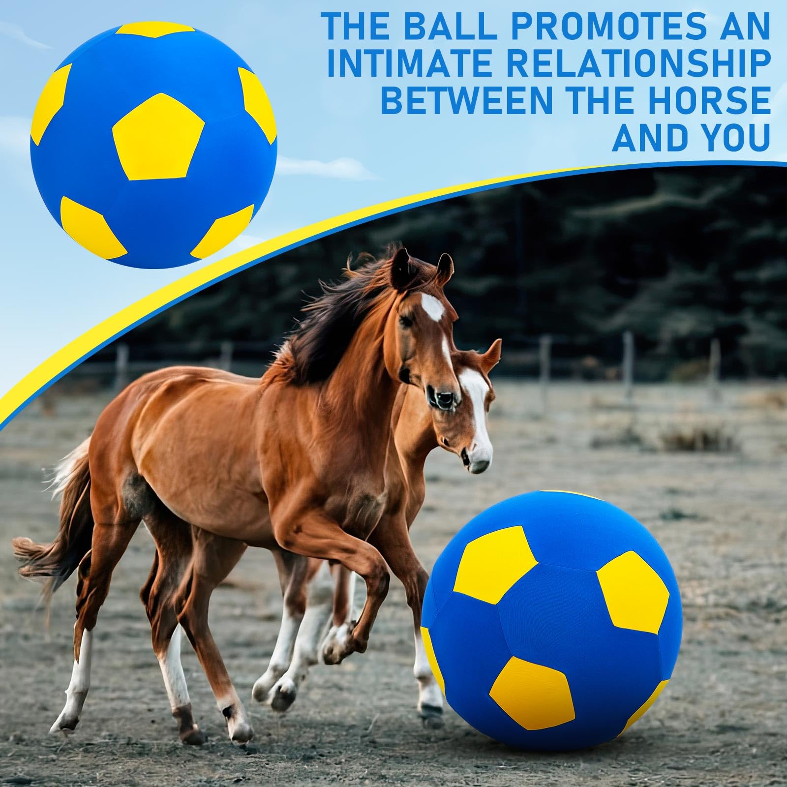 Diversión estable para caballos en establo, con juego interactivo supervisado.