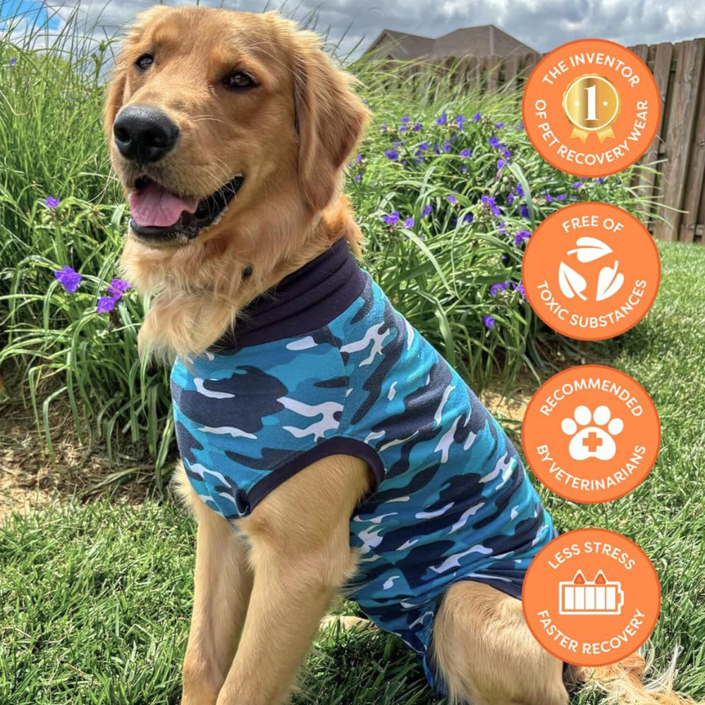 Talla pequeña del Suitical ofrece ajuste seguro en perros de complexión delgada.