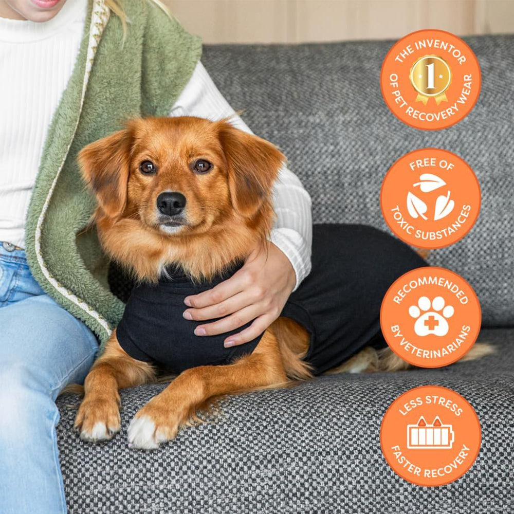Suitical Recovery Suit diseño colaborativo con veterinarios para el bienestar