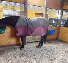 Sukeyme dos ganchos de acero resistentes para caballo