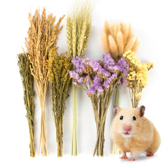 Sukh cama hamster flores naturales, coloridas y seguras para nidos.