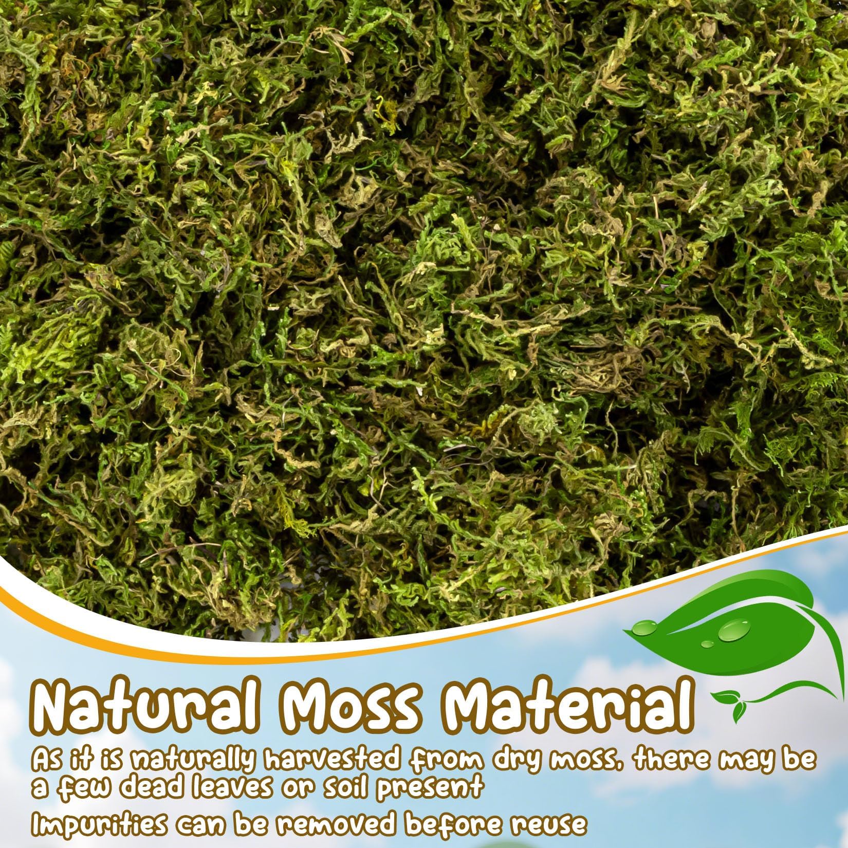 Sukh Hamster Moss textura esponjosa: fomenta excavación y nidos.