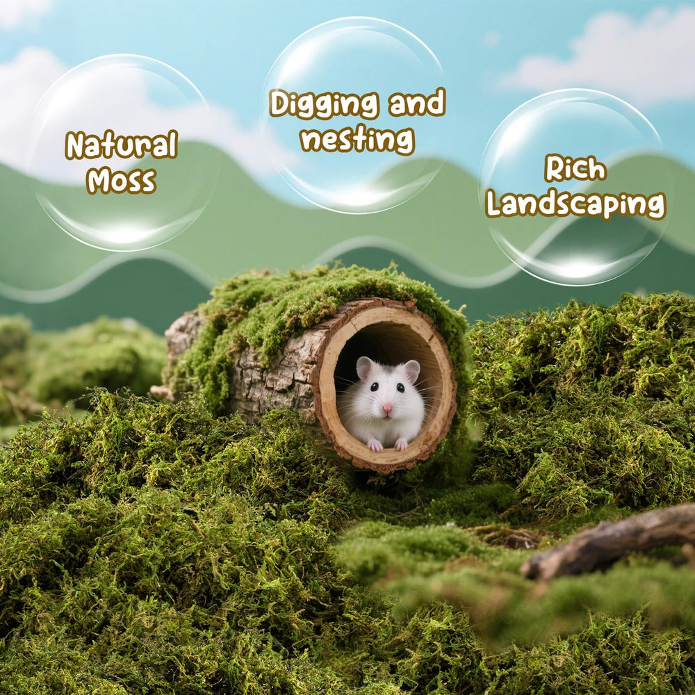 Sukh Hamster Moss uso versátil: cama, nido y decoración para mascotas.