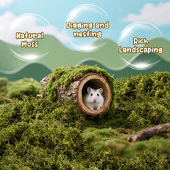 Sukh Hamster Moss uso versátil: cama, nido y decoración para mascotas.