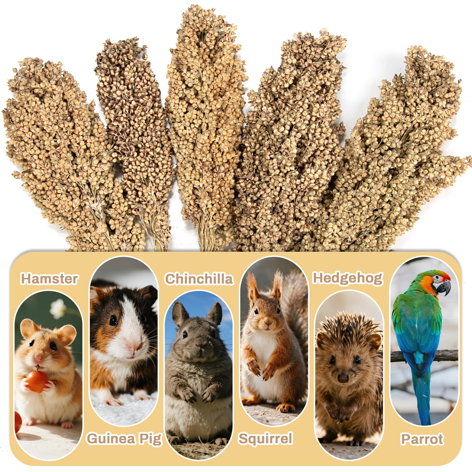 Ideal para aves pequeñas: Sukh Sprays ofrecen estímulo y color