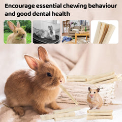 Juguete dental de bambú natural Sukh para conejos y cobayos.