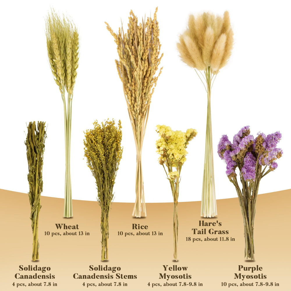 Sukh mezcla flores secas, arroz y trigo para un aspecto natural.