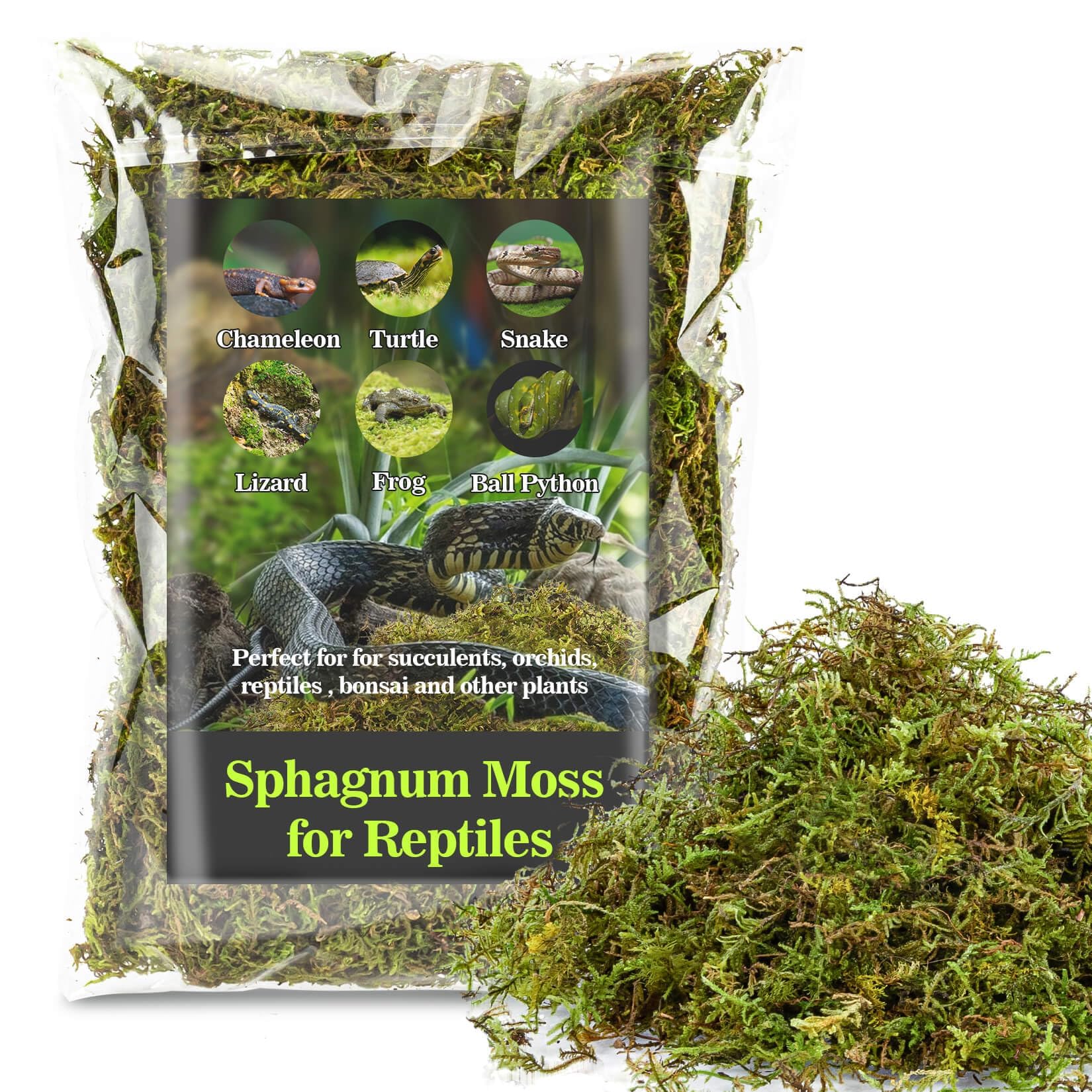 Sukh musgo esfagno para reptiles, terrario limpio y húmedo, favorece ambientes tropicales