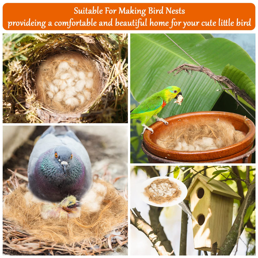 Sukh nido regalo naturaleza: observa aves construir y alimentarse.