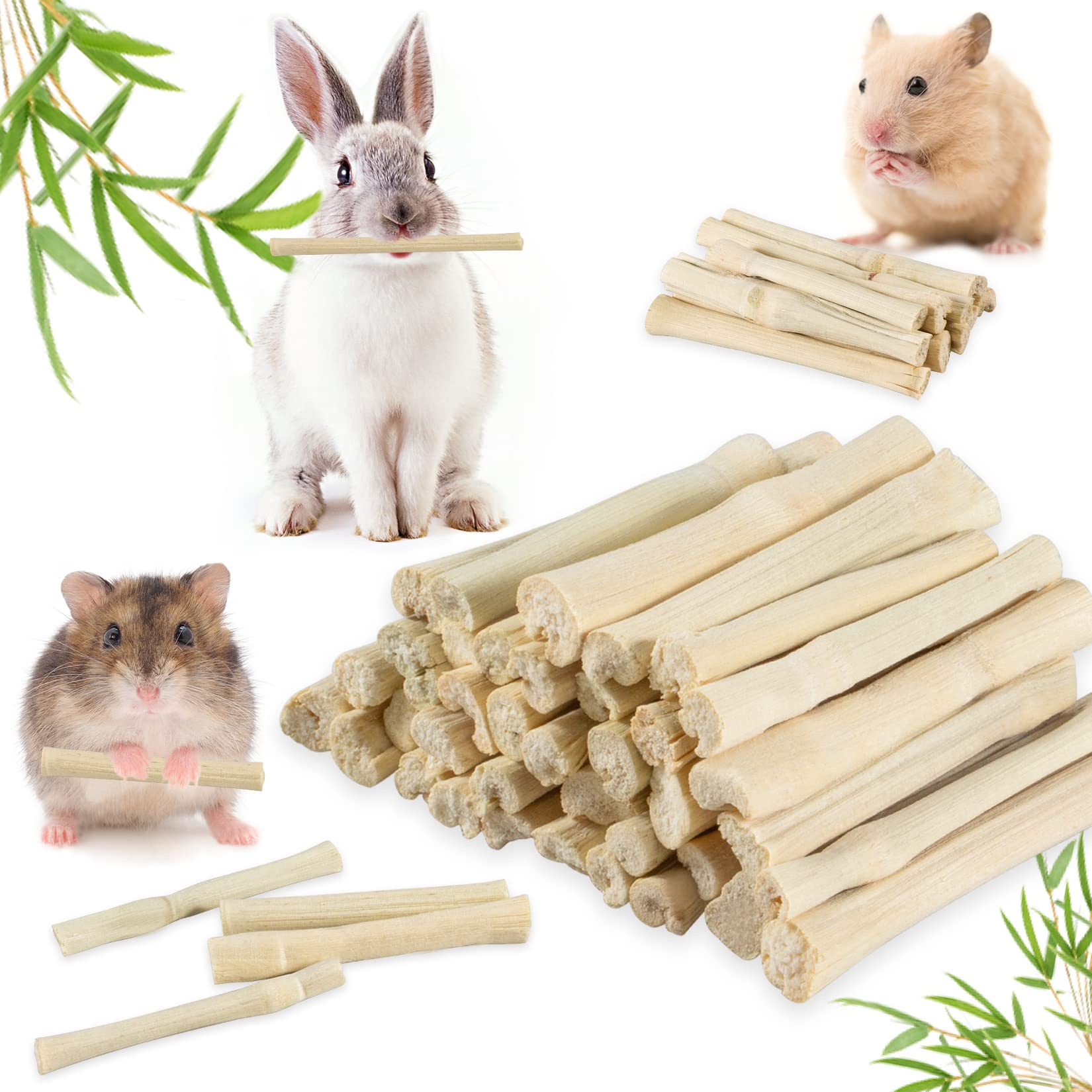 Sukh palitos de bambú dulces para roer y entretener a tu roedor.