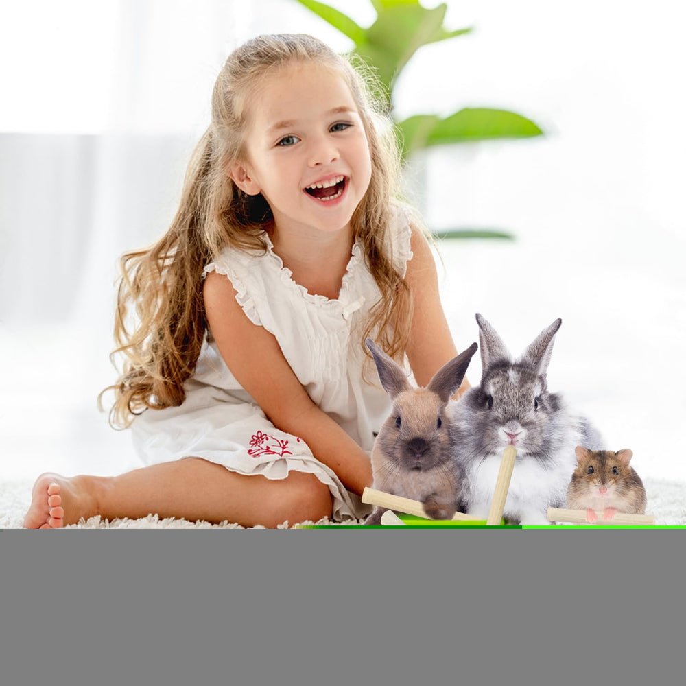 Palitos de bambú para roer natural en jaula de mascotas.