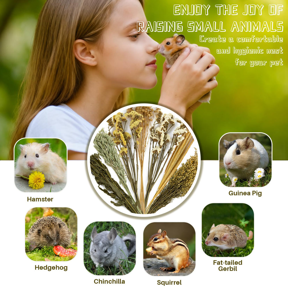 Sukh uso diario hamster snack y juego: promueve hábitos naturales