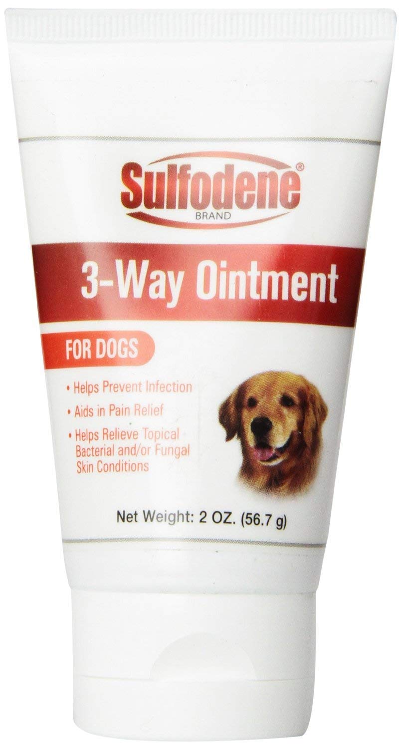 Sulfodene aplicación ungüento en la pata de un perro para alivio suave.