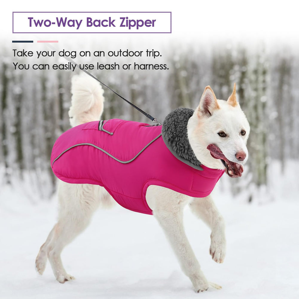 SUNFURA Capa perro visibilidad nocturna para seguridad en paseos.