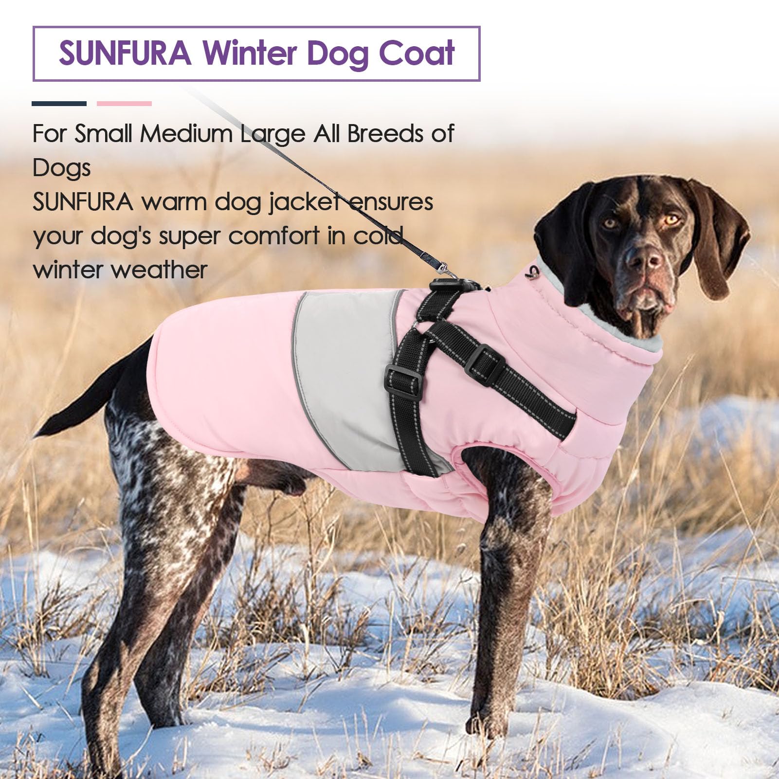 SunFura collar de pelo para perro: cuello cálido y protegido.
