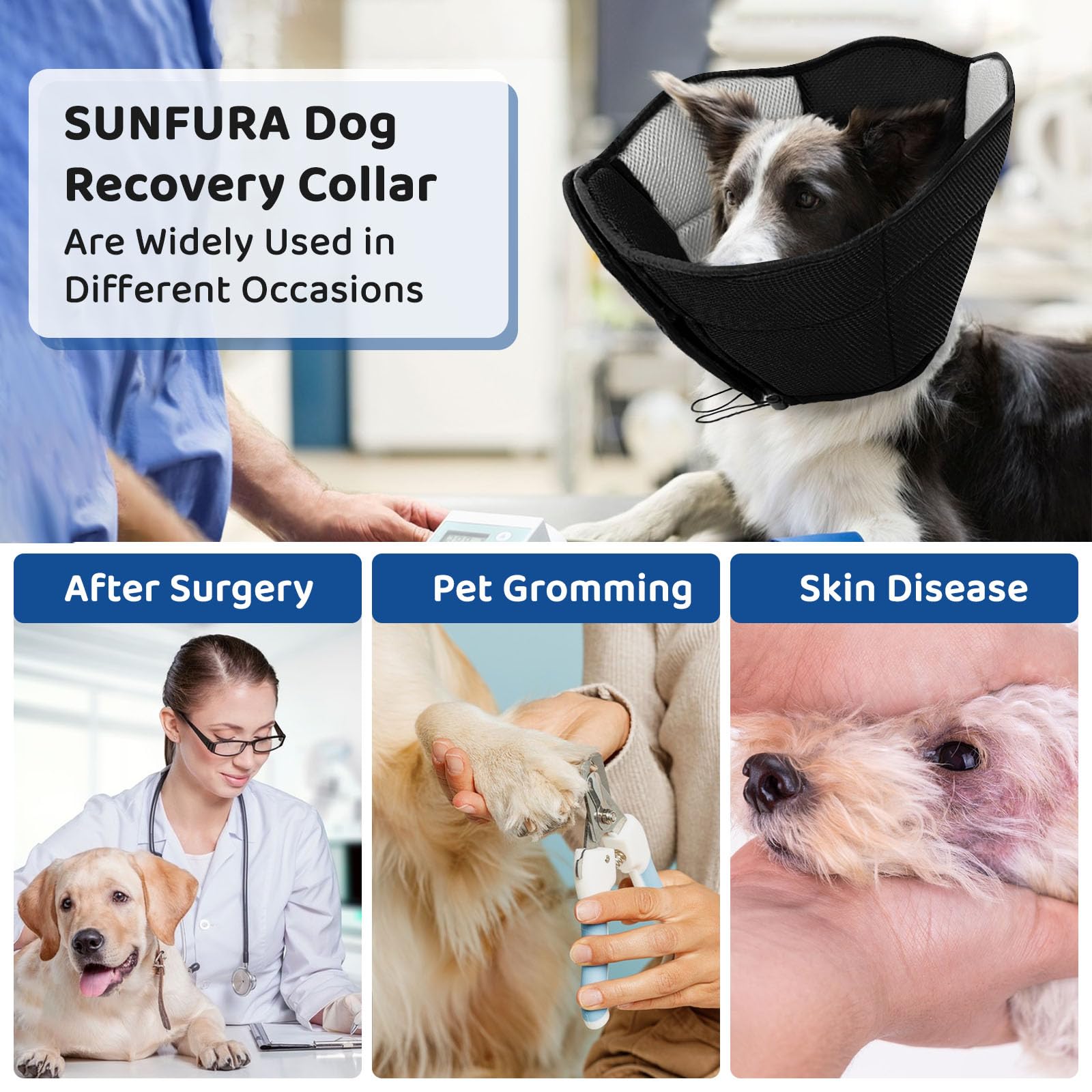 SUNFURA cono para todas las razas, diseño ligero para uso diario cómodo.