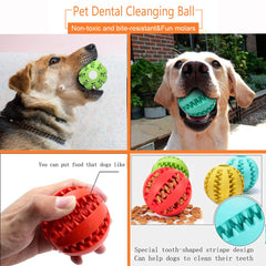 Sunglow bola para perros, favorece juego diario y quema energía