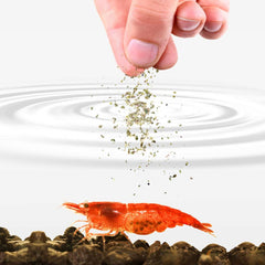 SunGrow alimento para camarones en escena de alimentación, fomenta actividad.