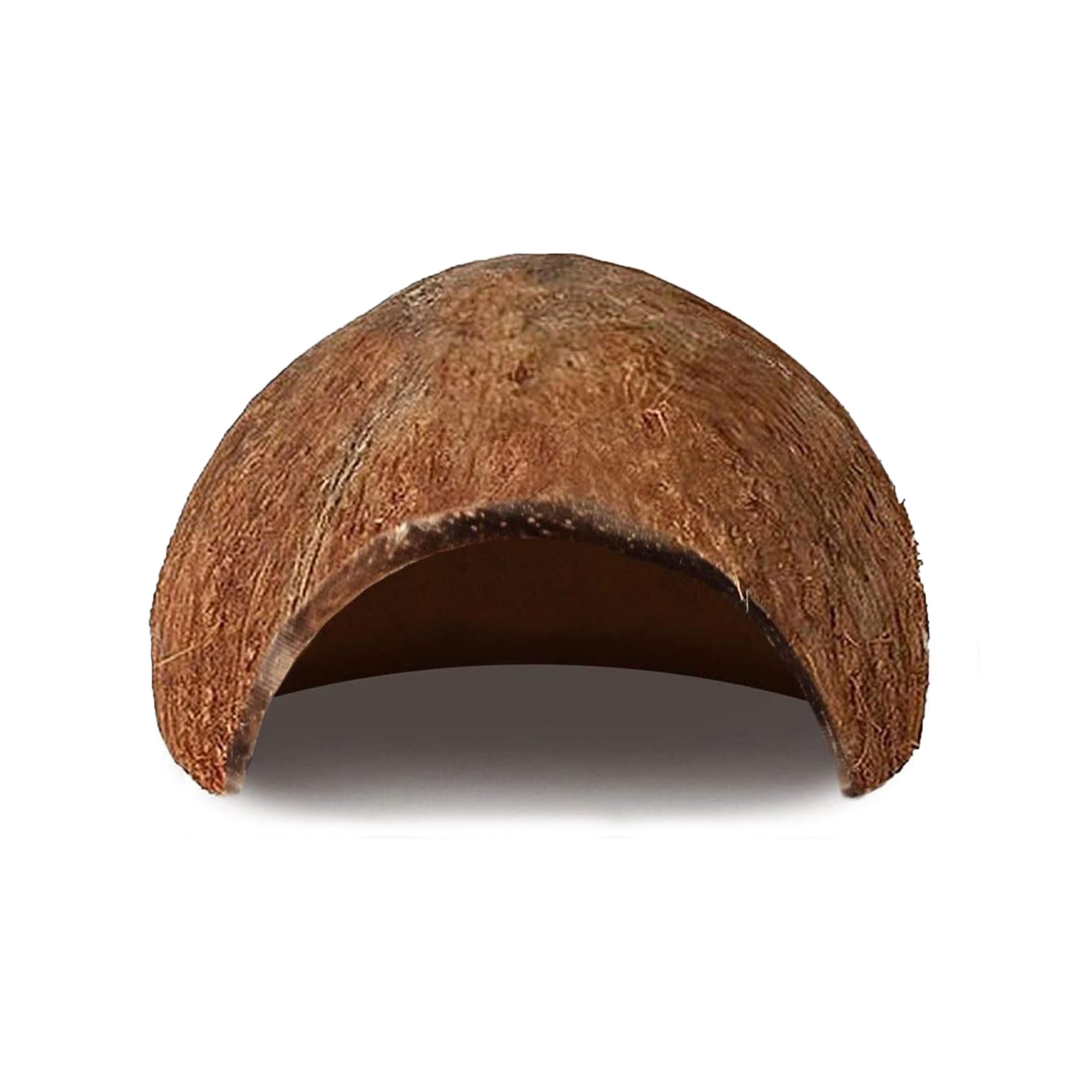 SunGrow Cueva Betta de Coco: interior espacioso para moverse y explorar.