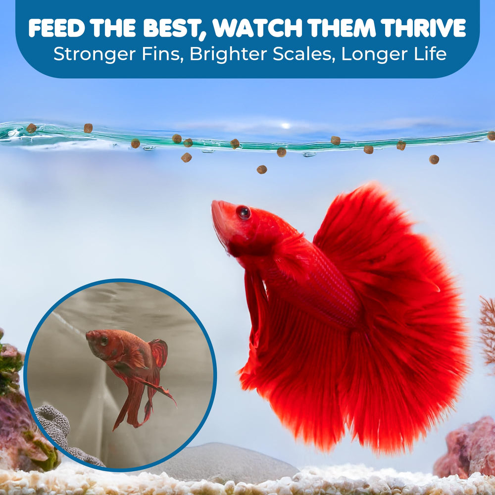 SunGrow Betta Pellets agua clara al no ensuciarse el acuario.